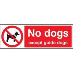 No Dogs Except Guide Dogs